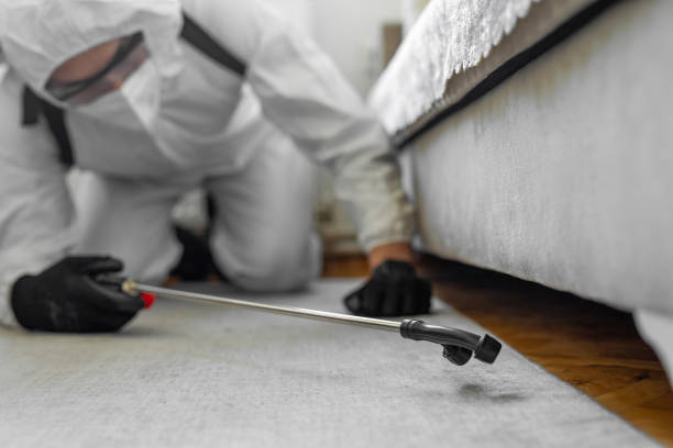 Professional Pest Control technician working in Lincoln County County, MT